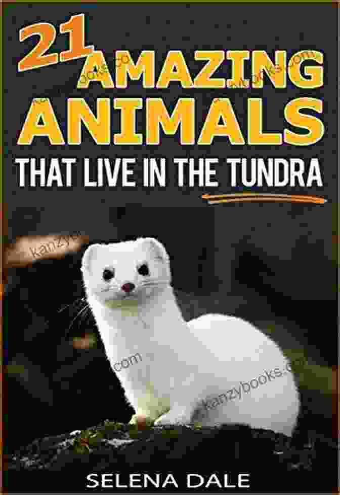 21 Amazing Animals That Live In The Tundra Extraordinary Animal Photos Book Cover 21 Amazing Animals That Live In The Tundra Extraordinary Animal Photos Facinating Fun Facts For Kids: 5 (Weird Wonderful Animals)