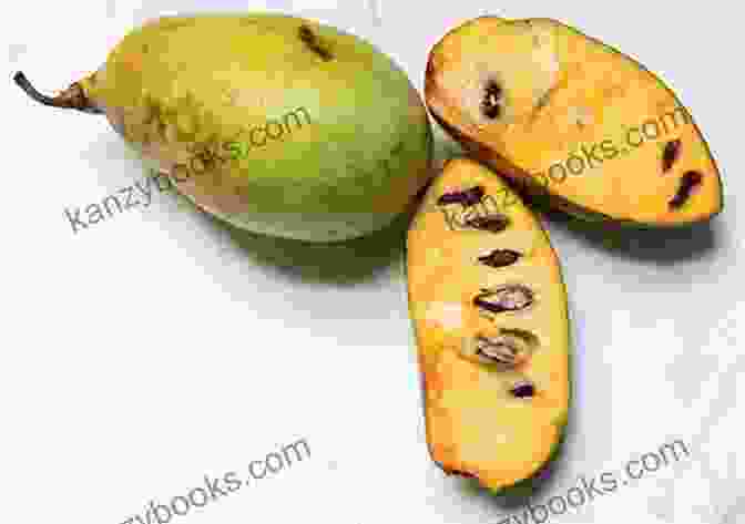 A Close Up Of A Ripe Pawpaw Fruit, With Its Custard Like Flesh And Large Seeds. The Pocket Pawpaw Cookbook Scott Conant