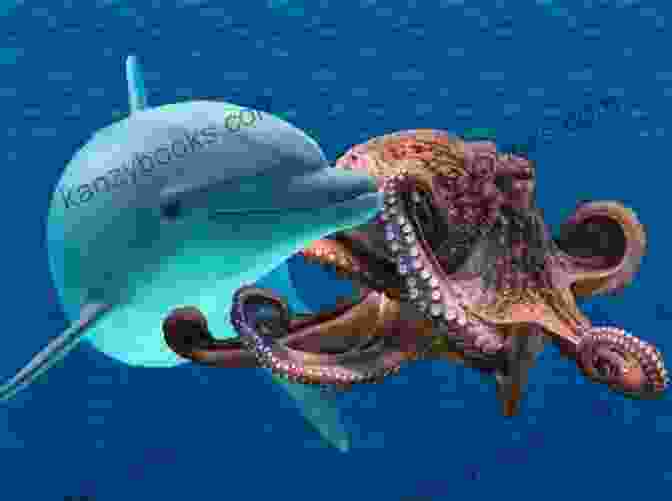 A Dolphin And An Octopus Swimming Together Animal BFFs: Even Animals Have Best Friends