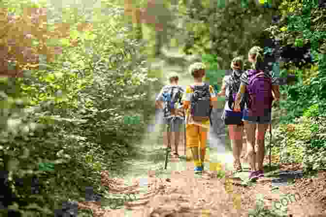 A Group Of Hikers Walking On A Trail In The Woods Southern Minnesota All Outdoors Atlas Field Guide