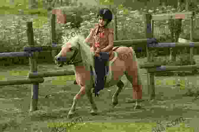 A Group Of Young Girls Riding Ponies In A Meadow Flame And The Rebel Riders (Pony Club Secrets 9)