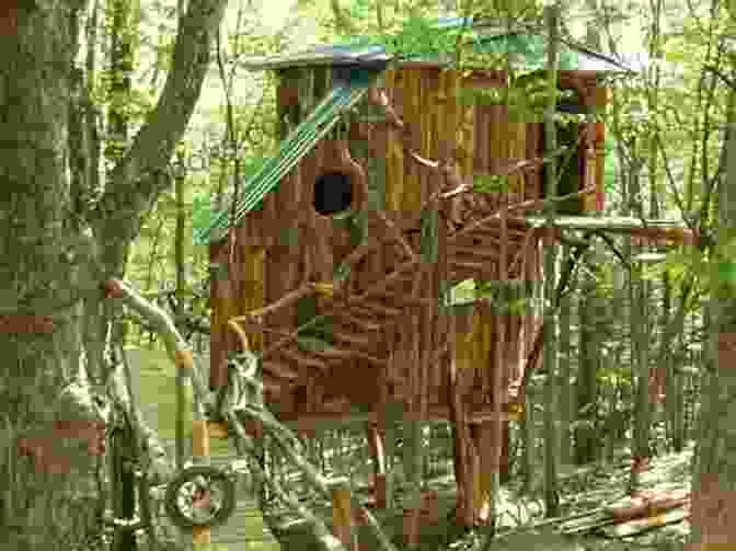 A Hermit Who Lives In A Treehouse Atlas Of The Unexpected: Haphazard Discoveries Chance Places And Unimaginable Destinations (Unexpected Atlases)
