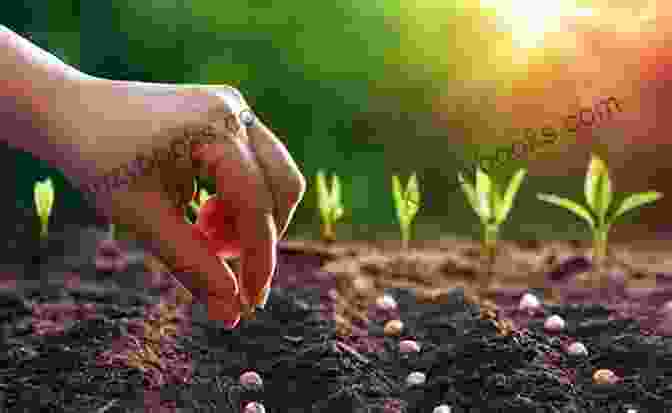A Person Planting Seeds, Symbolizing The Law Of Karma Ten Spiritual Secrets Of Thought Power: Obscure Insights Into The Most Powerful Force In The Universe