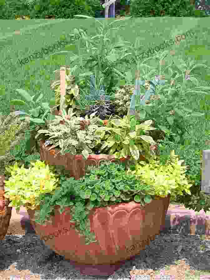 A Thriving Container Garden Filled With Vegetables, Herbs, And Flowers Set Up Your Container Garden: Develop A Thriving Container Garden