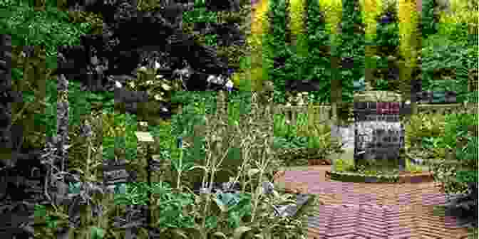 A Vibrant Herbal Medicine Garden, Showcasing A Diverse Array Of Medicinal Plants. Successful H I V Natural Remedies