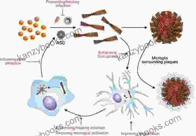 Amyloid Beta Seeds In Alzheimer's Disease Proteopathic Seeds And Neurodegenerative Diseases (Research And Perspectives In Alzheimer S Disease)