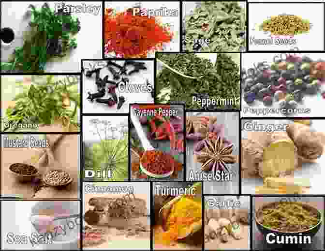 An Array Of Aromatic Spices And Herbs Used In Middle Eastern Vegetarian Cooking Vegetarian Food Guide To The Middle East: Middle Eastern Recipes: Vegan Food