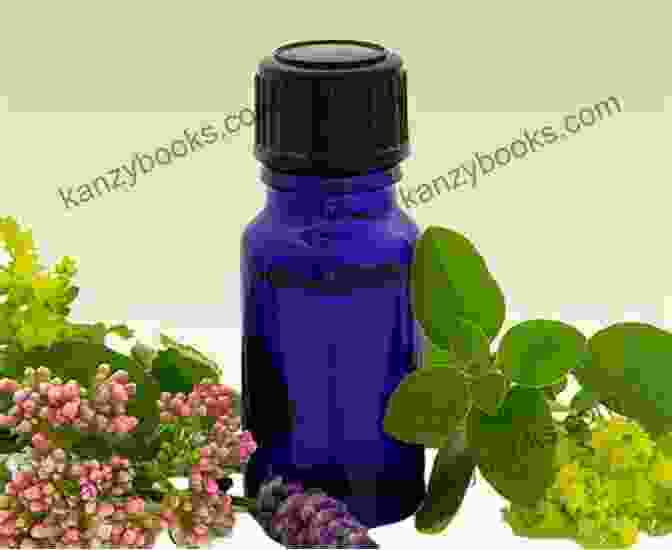 An Assortment Of Homeopathic Remedies In Glass Vials, Showcasing The Diverse Range Of Remedies Available The Homeopathic Garden (Homeopathy In Thought And Action)