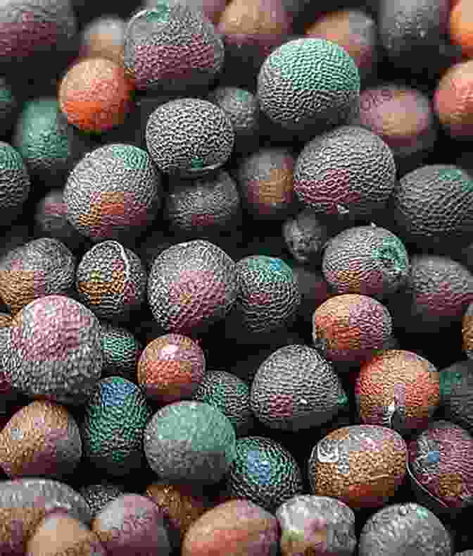 Close Up Of Fairy Seeds, With Intricate Patterns And Shimmering Colors Otherkin To Fairy Seeds Elf Seeds And Angel Seeds ((For Star Seed And Lightworkers) 4)