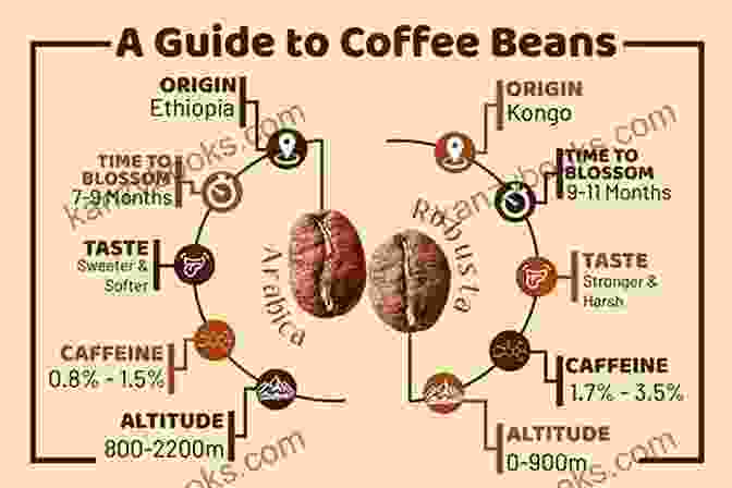 Coffee Beans The Little Coffee Know It All: A Miscellany For Growing Roasting And Brewing Uncompromising And Unapologetic