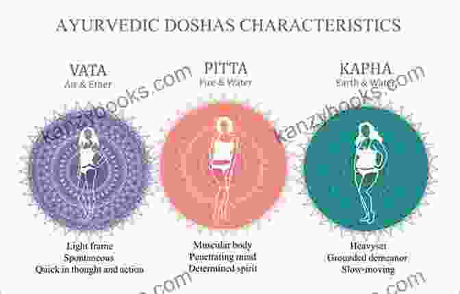 Diagram Of The Three Ayurvedic Doshas: Vata, Pitta, And Kapha. Live Healthy With Hashimoto S Disease: The Natural Ayurvedic Approach To Managing Your Autoimmune DisFree Download