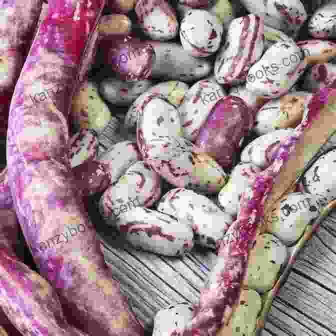 Elegant Collage Of Heirloom Beans In Vibrant Colors And Textures Heirloom Beans: Recipes From Rancho Gordo