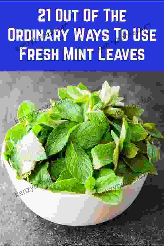 Fresh Mint Leaves Cooking With Herbs (The Cook S Kitchen 7)