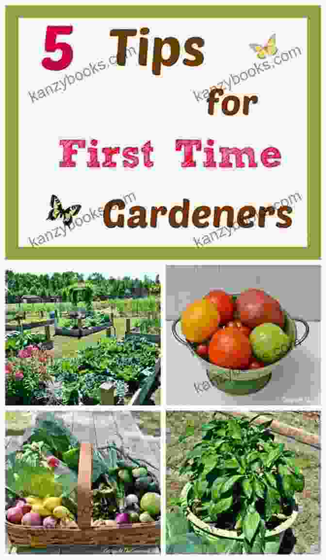 Garden Plan The First Time Gardener: Growing Plants And Flowers: All The Know How You Need To Plant And Tend Outdoor Areas Using Eco Friendly Methods (The First Time Gardener S Guides)