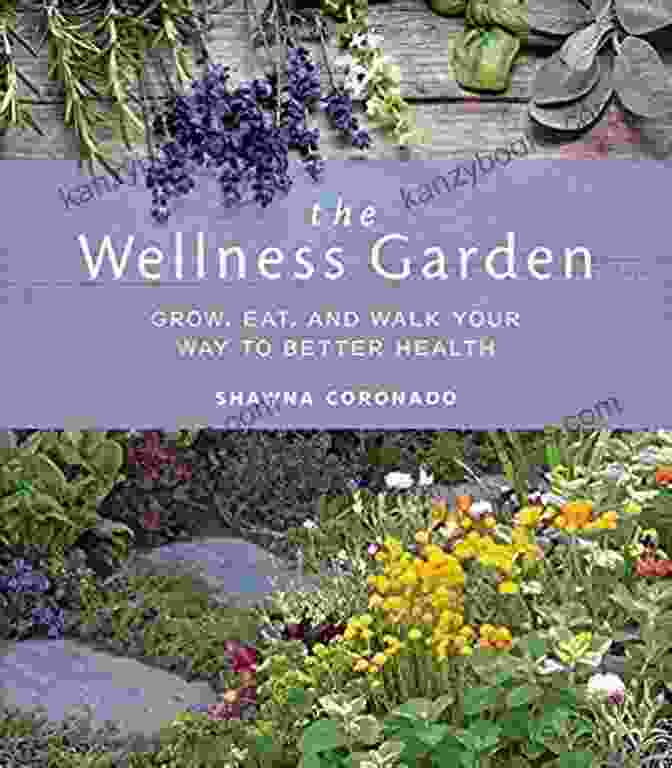 Grow Eat And Walk Your Way To Better Health Book Cover The Wellness Garden: Grow Eat And Walk Your Way To Better Health