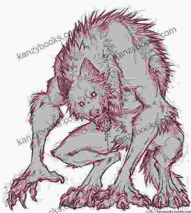Illustration Of A Werewolf Transformation Notes From A Hairy Not Scary Werewolf