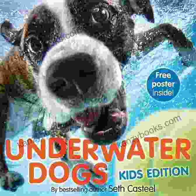 Puppy Pool Party: An Underwater Dogs Adventure Book Cover Puppy Pool Party : An Underwater Dogs Adventure