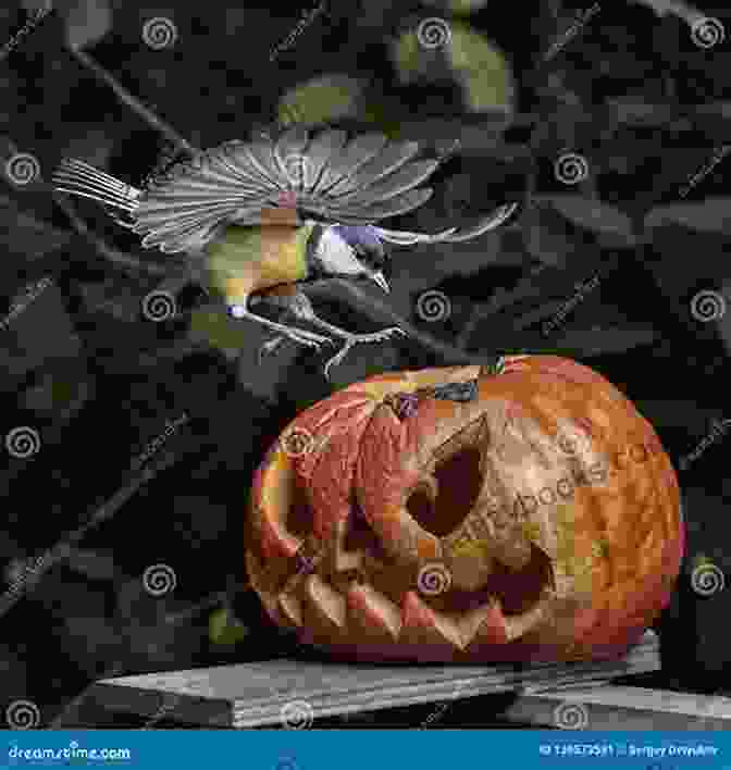 Sammy Bird Perched On A Glowing Pumpkin In The Pumpkin Patch. PumpkinSteen Sammy S Spooktacular Halloween (Sammy Bird)