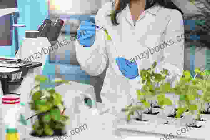 Scientists Conducting Research On The Medicinal Properties Of Plants In A Laboratory Healing Plants: An To The Healing Power Of Plants
