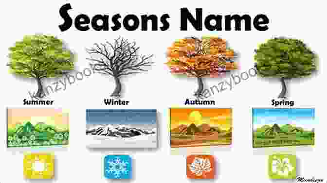 Seasons Representing The Wisdom Of Seasons The Sons Of Issachar Tovah Martin