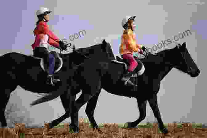 Sisters Riding Horses On A Summer Trail Wild Horse Spring (Sisters In All Seasons 2)