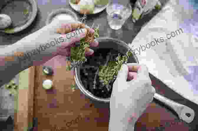Thyme Twigs Cooking With Herbs (The Cook S Kitchen 7)