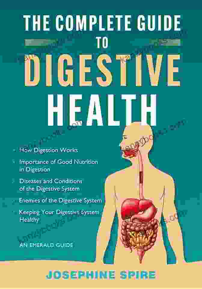 User Guide To Healthy Digestion Book Cover User S Guide To Healthy Digestion (Basic Health Publications User S Guide)