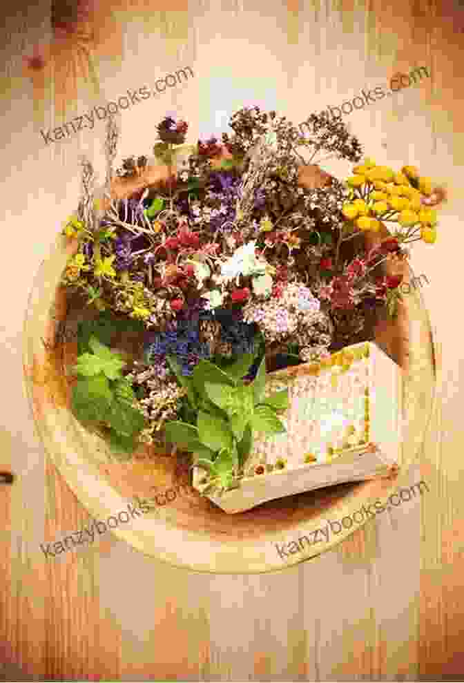 Various Medicinal Herbs And Flowers Arranged On A Wooden Table Healing Plants: An To The Healing Power Of Plants
