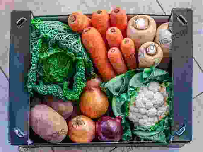 Zucchini The Veg Box: 10 Vegetables 10 Ways