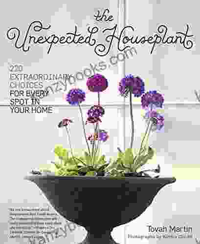 The Unexpected Houseplant: 220 Extraordinary Choices For Every Spot In Your Home