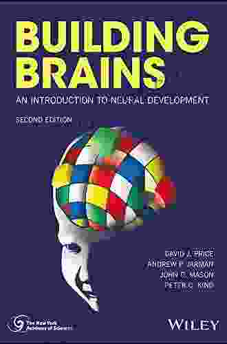 Building Brains: An Introduction To Neural Development (New York Academy Of Sciences)
