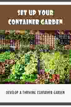 Set Up Your Container Garden: Develop A Thriving Container Garden