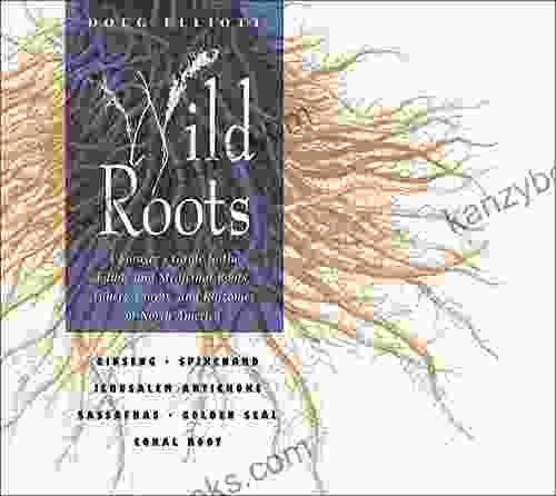 Wild Roots: A Forager S Guide To The Edible And Medicinal Roots Tubers Corms And Rhizomes Of North America
