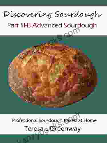 Discovering Sourdough Part III B Advanced Sourdough