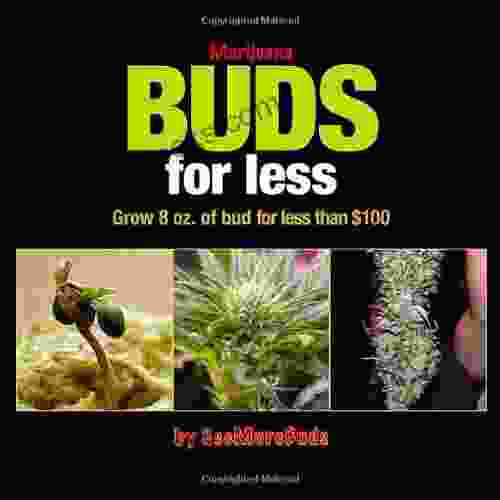 Marijuana Buds For Less: Grow 8 Oz Of Bud For Less Than $100