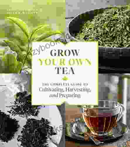 Grow Your Own Tea: The Complete Guide To Cultivating Harvesting And Preparing