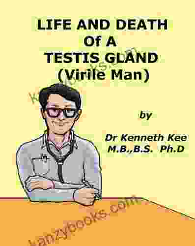 Life And Death Of A Testis Gland (Virile Man) (A Simple Guide To Medical Conditions)