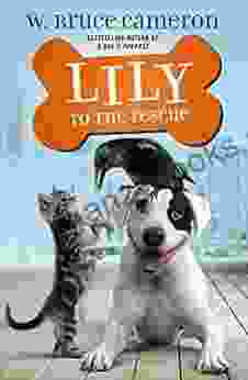 Lily To The Rescue (Lily To The Rescue 1)