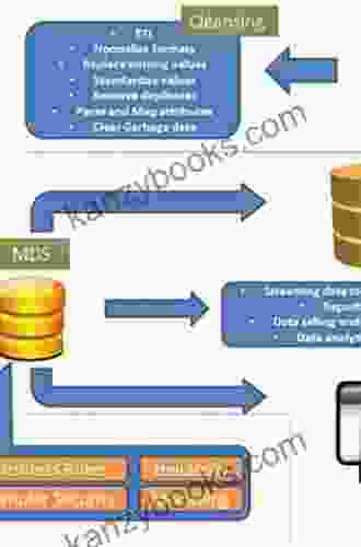 Microsoft SQL Server 2024 Master Data Services 2/E