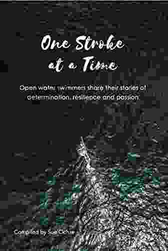 One Stroke At A Time: Open Water Swimmers Share Their Stories Of Determination Resilience And Passion
