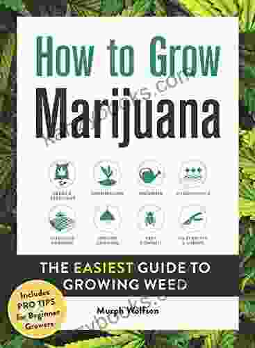 How To Grow Marijuana: The Easiest Guide To Growing Weed