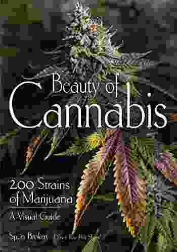 Beauty Of Cannabis: 200 Strains Of Marijuana A Visual Guide
