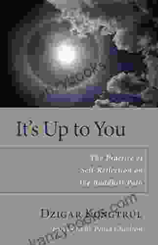 It S Up To You: The Practice Of Self Reflection On The Buddhist Path
